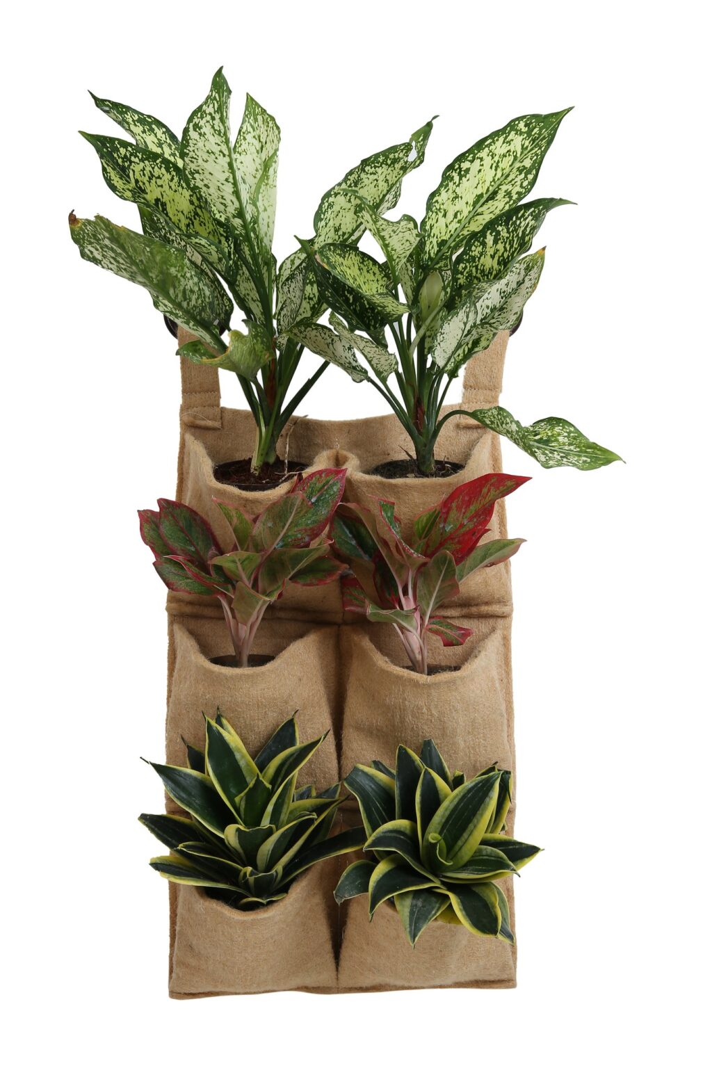 Jute planters-bagworldindia-eco friendly bags