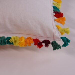 Hemp Cushions bagworldindia eco friendly cushions