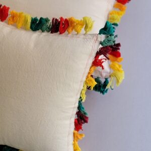 Hemp Cushions bagworldindia eco friendly cushions