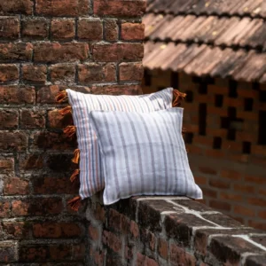 Hemp Cushions Bagworldindia ecofreindlybags eco freindly Cushion Curshion