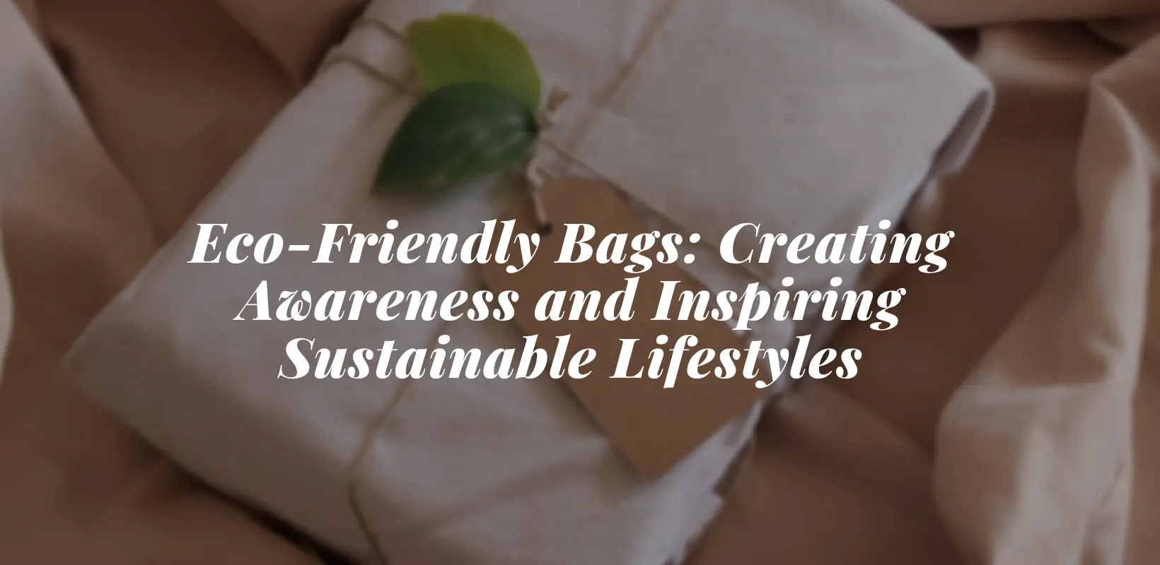 Eco-Friendly Bags: Creating Awareness and Inspiring Sustainable ...