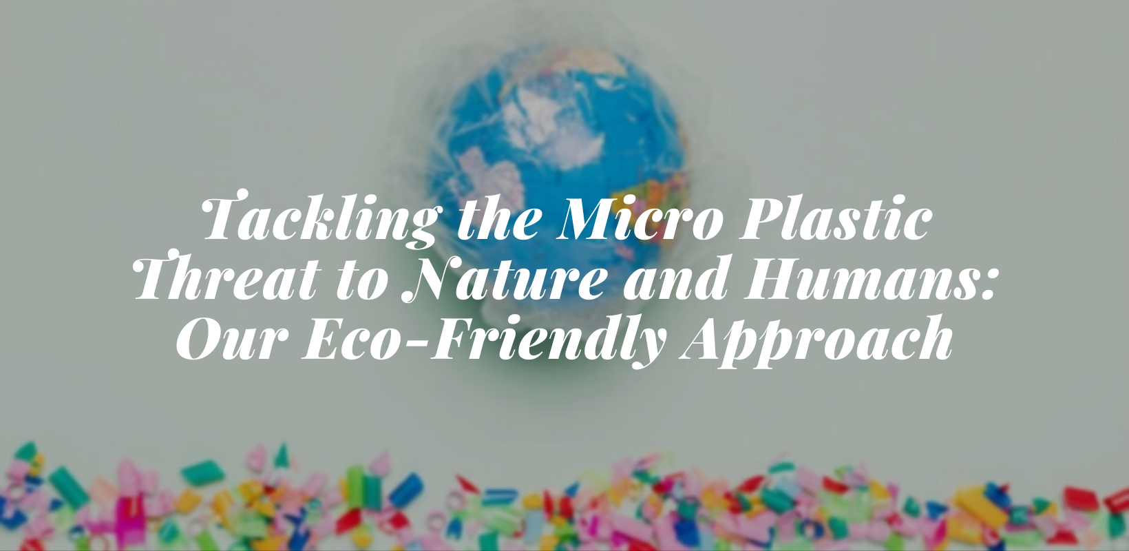 Tackling the Micro Plastic Threat to Nature and Humans: BagWorld India's Eco-Friendly Approach