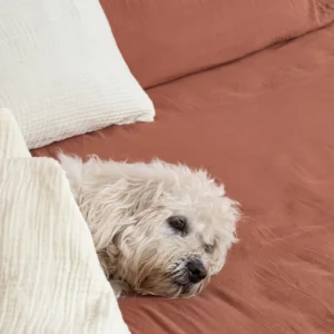 Muslin Maple Sugar Bedding bedsheets and pillow covers | bagworld India eco friendly bags and accessories manufacturer